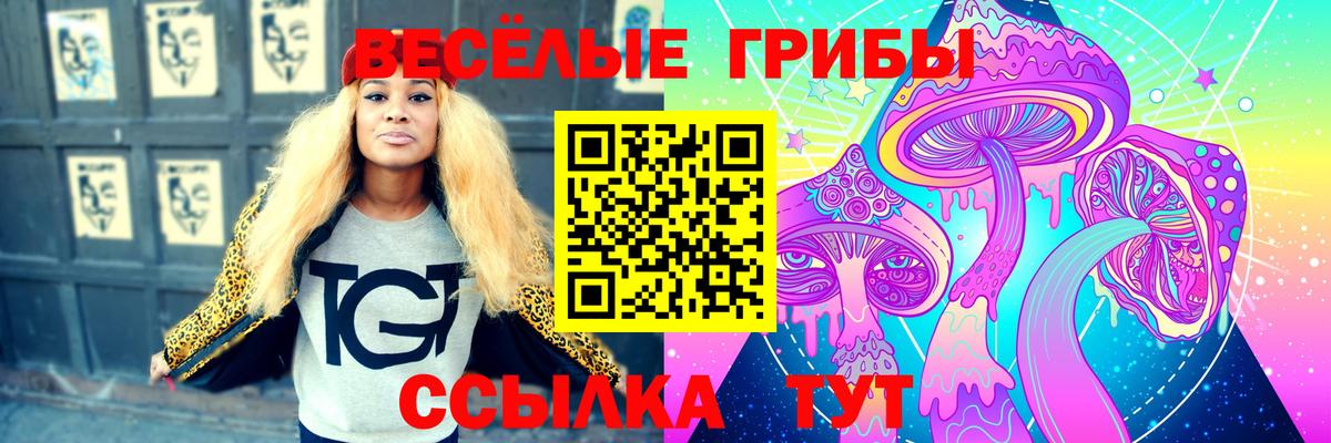 Псилоцибиновые грибы Psilocybe Каменск-Шахтинский