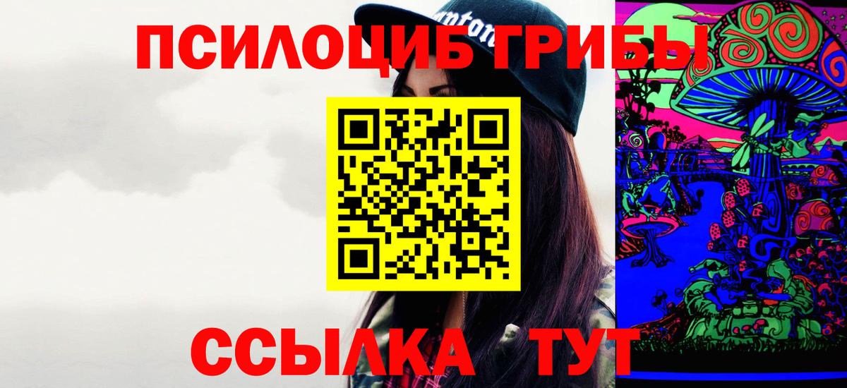 Каменск-Шахтинский  Псилоцибиновые грибы Psilocybe  Вход с VPN 